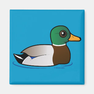 Cute Mallard Male Magneet