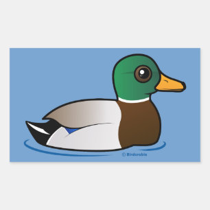 Cute Mallard Male Rechthoekige Sticker