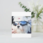 Cute Maltese Dog Briefkaart (Staand voorkant)