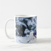 Cute Maltese Dog Koffiemok (Links)