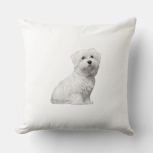 Cute Maltese Dog Kussen