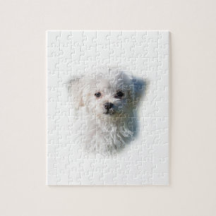 Cute Maltese Dog Legpuzzel