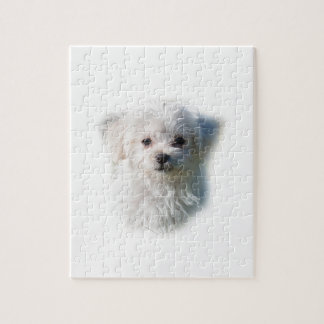 Cute Maltese Dog Legpuzzel
