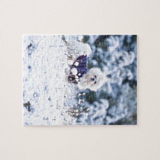 Cute Maltese Dog Legpuzzel (Horizontaal)