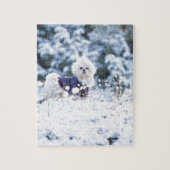 Cute Maltese Dog Legpuzzel (Verticaal)