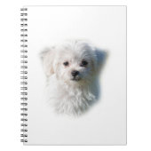 Cute Maltese Dog Notitieboek (Voorkant)