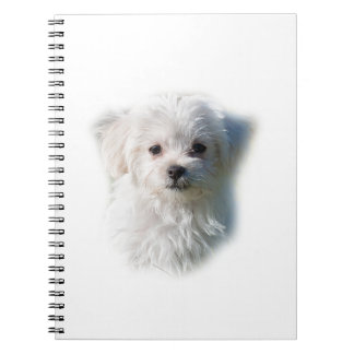Cute Maltese Dog Notitieboek