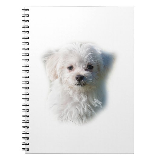 Cute Maltese Dog Notitieboek (Voorkant)