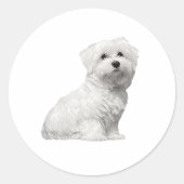 Cute Maltese Dog Sitting Puppy Classic Round Stick Ronde Sticker (Voorkant)