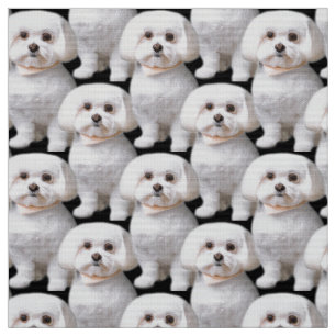 Cute Maltese Dog Stof