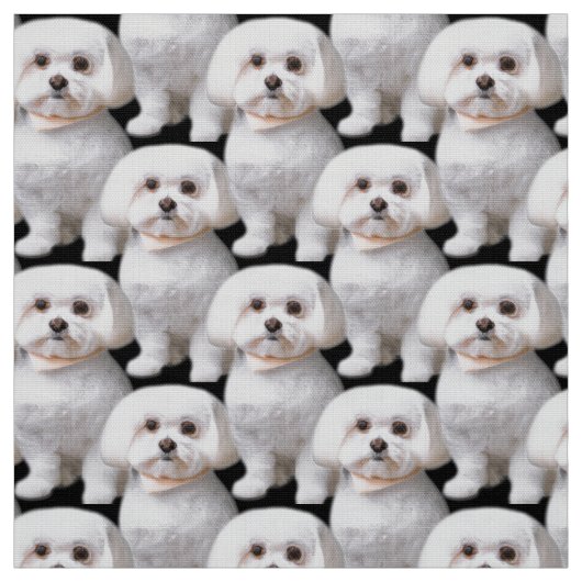 Cute Maltese Dog Stof (Swatch)
