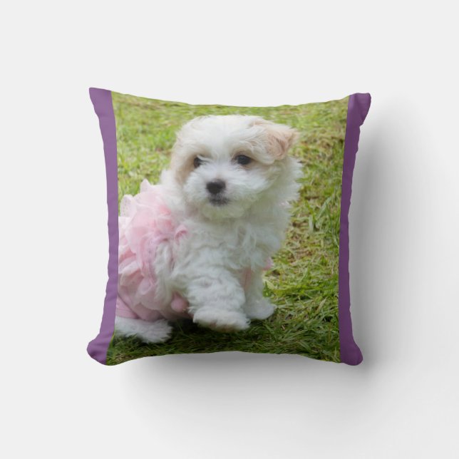 Cute Maltese poodl Throw Cushion Kussen (Voorkant)