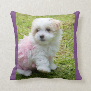 Cute Maltese poodl Throw Cushion Kussen