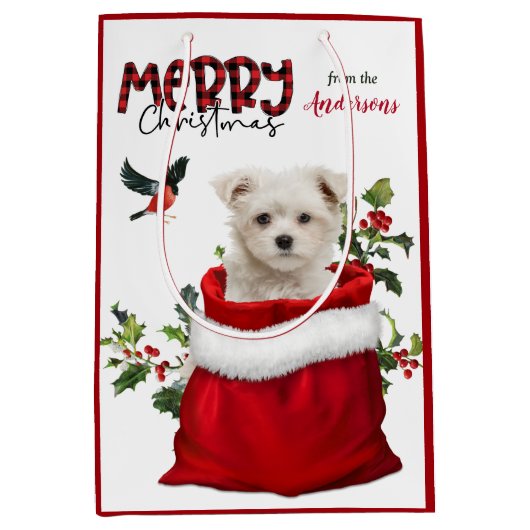 Cute Maltese puppy Dog Kerstmis Medium Cadeauzakje (Voorkant)