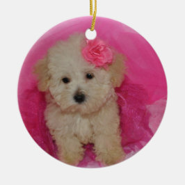 Cute Maltipoo Puppy Keramisch Ornament
