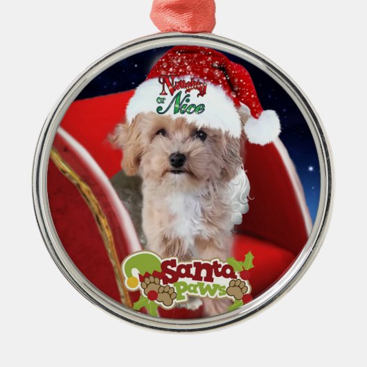 Cute Maltipoo puppy Kerstaneel Metalen Ornament (Voorkant)
