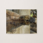 Cute Mama Squirrel eet Nuts Legpuzzel (Horizontaal)