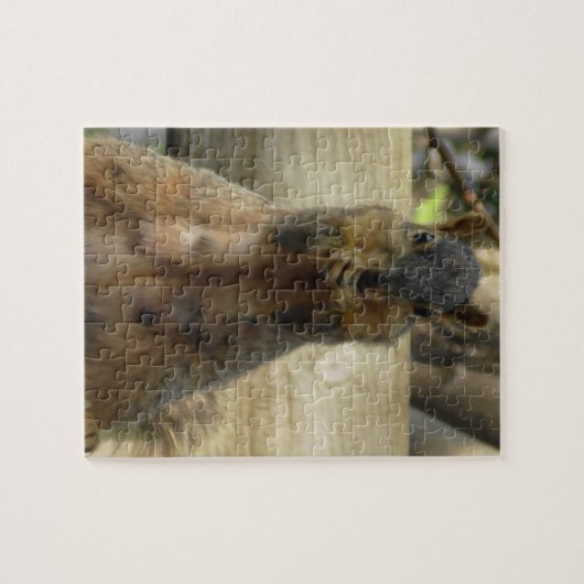 Cute Mama Squirrel eet Nuts Legpuzzel (Horizontaal)