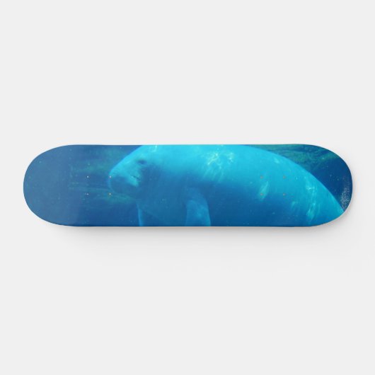 Cute Manatee Skateboard (Horizontaal)