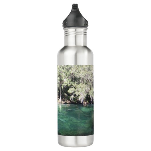 Cute Manatees Swimming Florida Waterfles (Rechts)