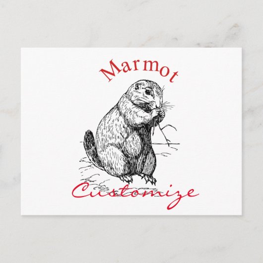Cute Marmot Animal Thunder_Cove Briefkaart (Voorkant)