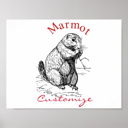 Cute Marmot Animal Thunder_Cove Poster (Voorkant)