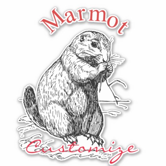Cute Marmot Animal Thunder_Cove Sticker (Voorkant)