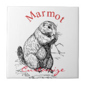 Cute Marmot Animal Thunder_Cove Tegeltje (Voorkant)