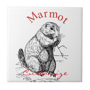 Cute Marmot Animal Thunder_Cove Tegeltje