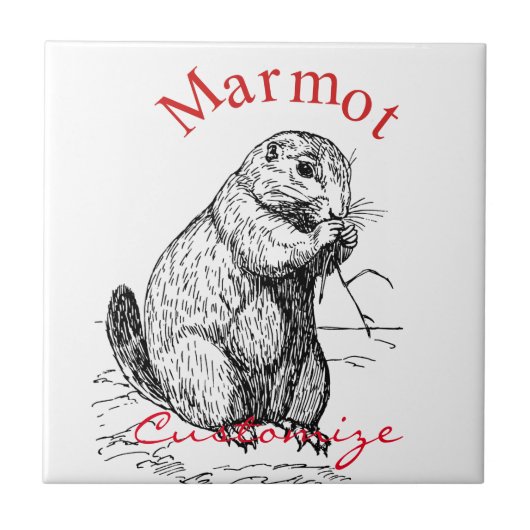 Cute Marmot Animal Thunder_Cove Tegeltje (Voorkant)