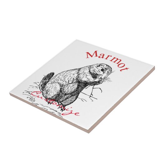 Cute Marmot Animal Thunder_Cove Tegeltje (Zijkant)
