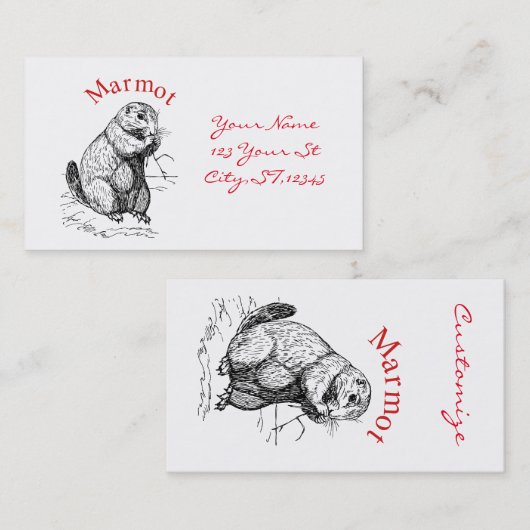 Cute Marmot Animal Thunder_Cove Visitekaartje (Voorkant / Achterkant)