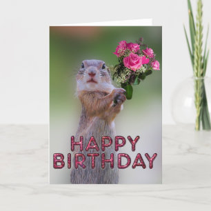 Cute marmot kaart