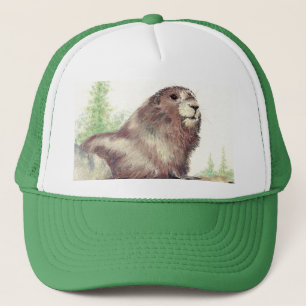 Cute Marmot, Natuur, wilde dieren Trucker Pet