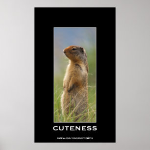 Cute Marmot Wildlife Motivatie Foto Poster