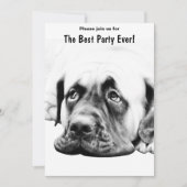 Cute Mastiff hond Kaart (Voorkant)