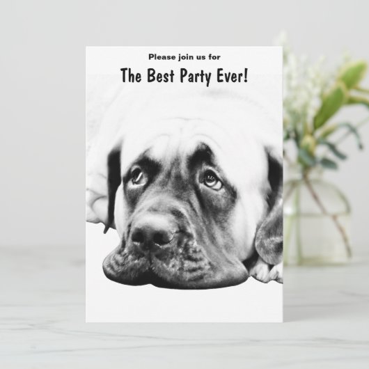 Cute Mastiff hond Kaart (Staand voorkant)