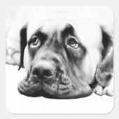 Cute Mastiff hond Vierkante Sticker (Voorkant)