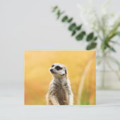 Cute Meerkat Briefkaart (Staand voorkant)
