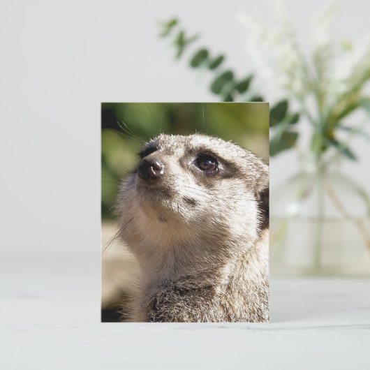 CUTE MEERKAT BRIEFKAART (Staand voorkant)