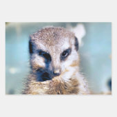 CUTE MEERKAT INPAKPAPIER VEL (Voorkant 3)