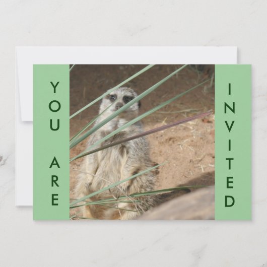 Cute Meerkat Invitation Kaart (Voorkant)