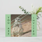 Cute Meerkat Invitation Kaart (Staand voorkant)