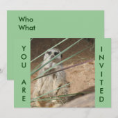 Cute Meerkat Invitation Kaart (Voorkant / Achterkant)