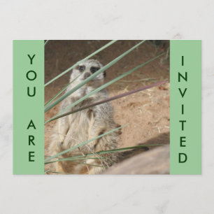 Cute Meerkat Invitation Kaart