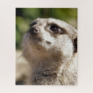 CUTE MEERKAT LEGPUZZEL