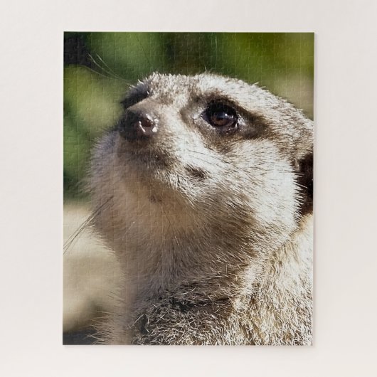 CUTE MEERKAT LEGPUZZEL (Verticaal)