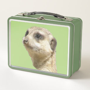Cute Meerkat  Lunchbox