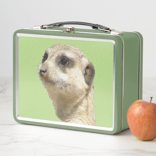 Cute Meerkat  Lunchbox (In situ)