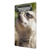CUTE MEERKAT MINI KLEMBORD (Angled2)